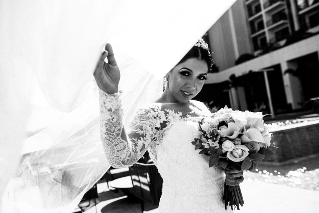 Coleção de fotos de casamento